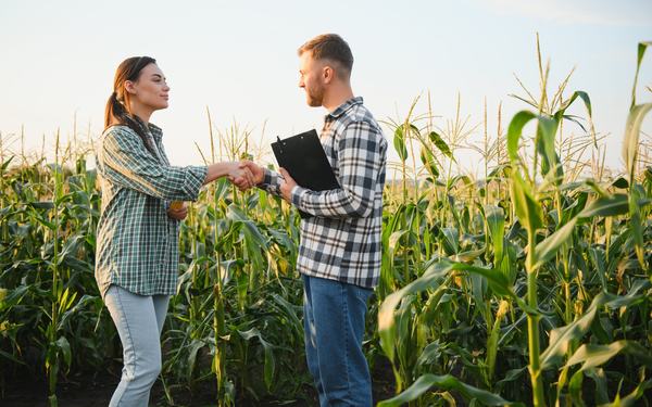 Seguro agrícola: um mercado em expansão para corretores